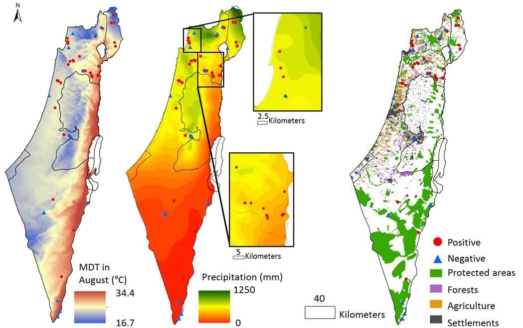 地図のイスラエルの気候