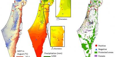 地図のイスラエルの気候